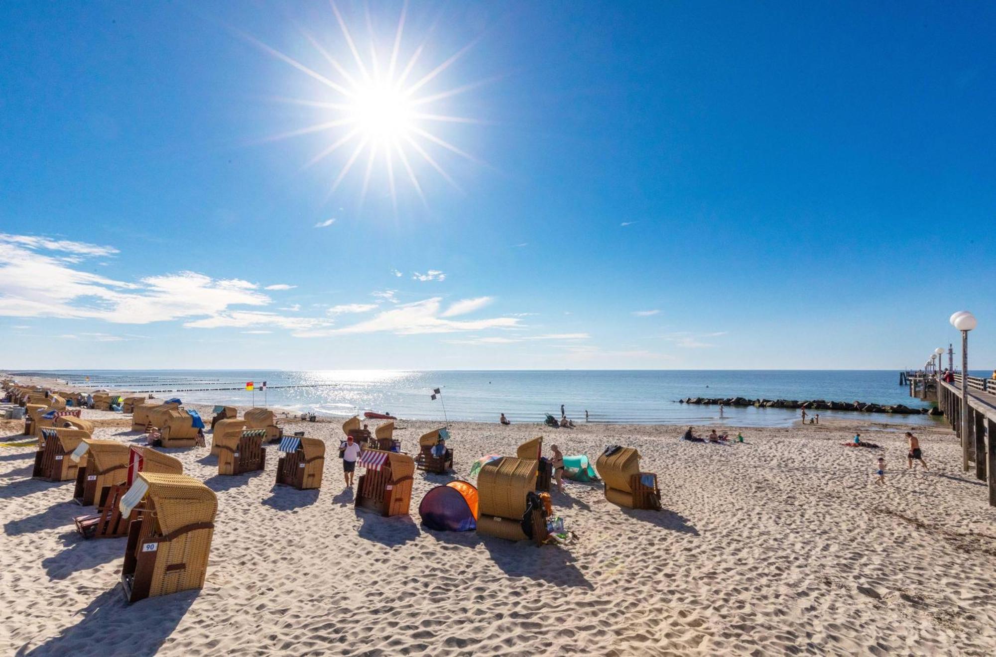 Seebaer Mit Terrasse Zingst Zewnętrze zdjęcie